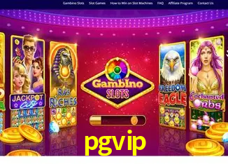 pgvip Rio de Janeiro - Bonus Terms