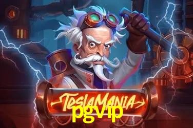 Provedores de Jogos pgvip