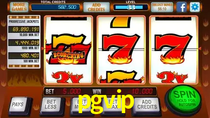 Descubra o Mundo do Cassino Online com pgvip