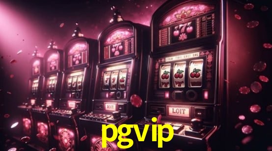Interface do App pgvip