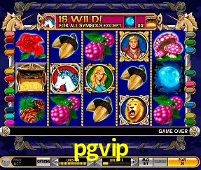 Descubra o Mundo do Cassino Online com pgvip